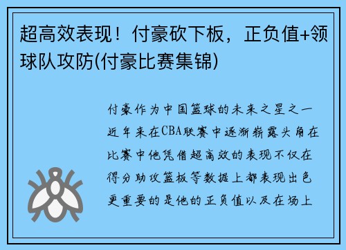 超高效表现！付豪砍下板，正负值+领球队攻防(付豪比赛集锦)