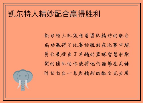 凯尔特人精妙配合赢得胜利